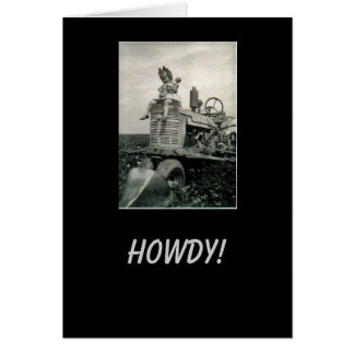 On the Farm Cards