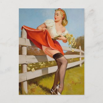 On The Fence  1959 Pin Up Art Postcard by Pin_Up_Art at Zazzle