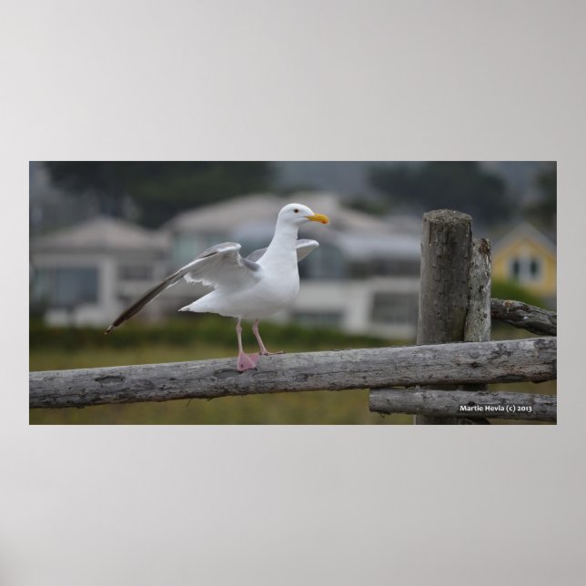 On the Fence II - Poster/Print Poster (Front)