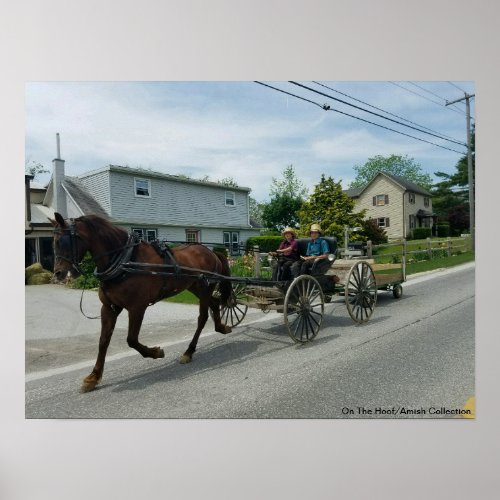 On The Hoof  Amish Children in PA Poster