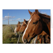 On the line (Front Horizontal)