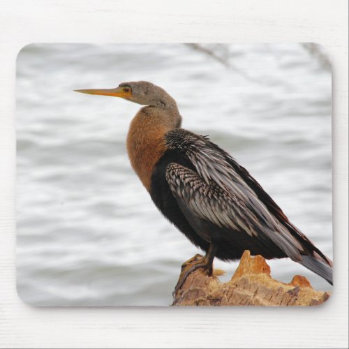 On The Lookout Mouse Pad