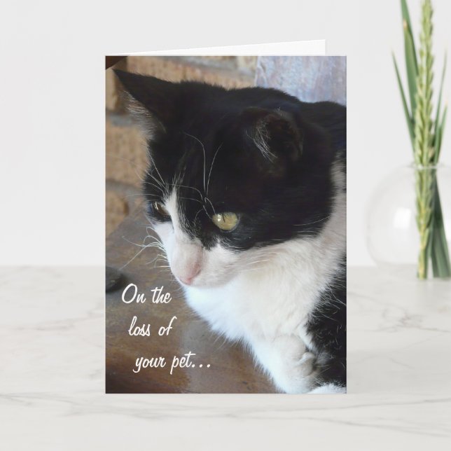 On the loss of your pet-Cat with poem. Card (Front)