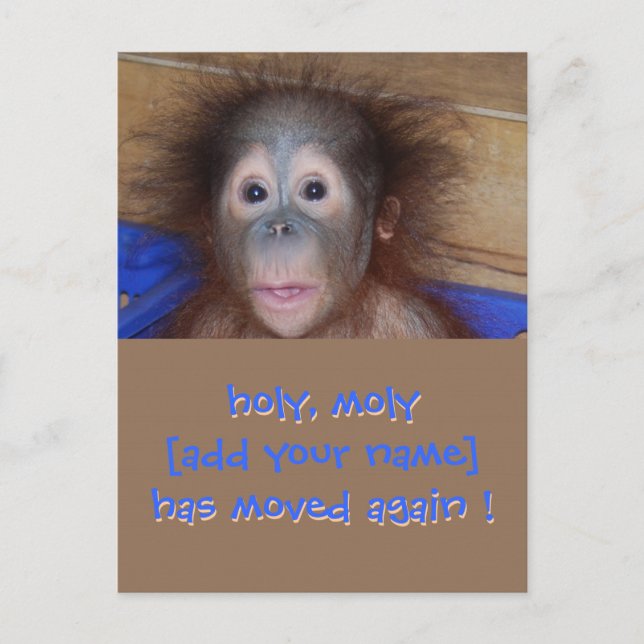 On the Move New Address Announcement Postcard (Front)