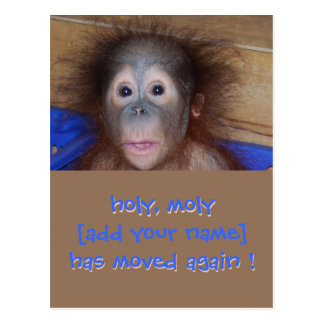 On the Move New Address Announcement Postcard