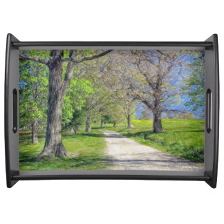 On the path at World's End, Hingham, MA. Serving Tray