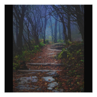 On The Path Photo Print