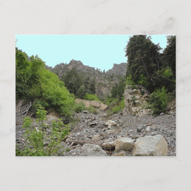 On the path to Timpanogos Cave Utah post card (Front)