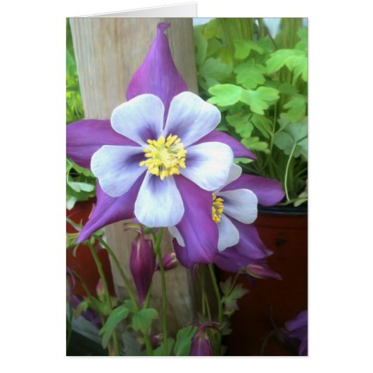 On The Post Blank Card (Front)