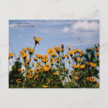 On the Prairie, Missouri Prairie