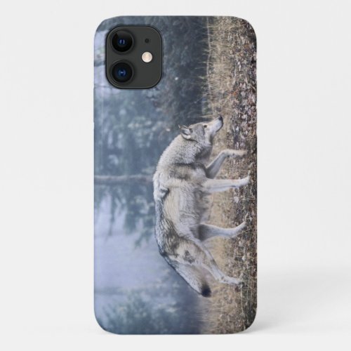 On the Prowl iPhone 11 Case