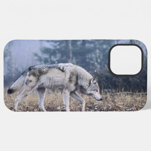 On the Prowl iPhone 12 Pro Max Case