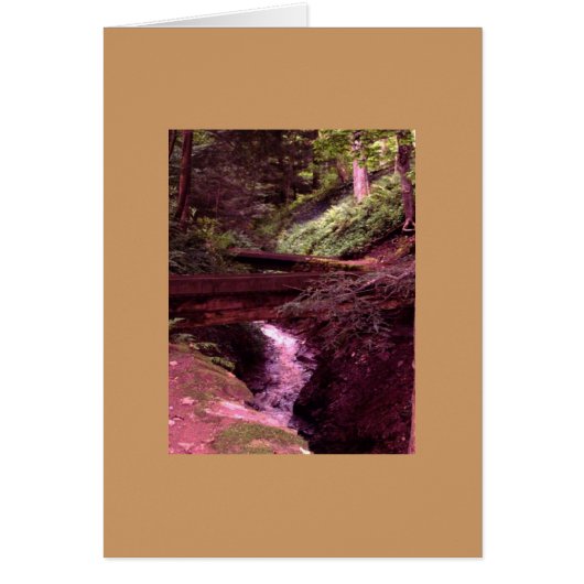 On the Right Path Card (Front)