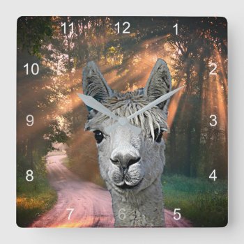 On The Road With Pepe The Alpaca Square Wall Clock by Youbeaut at Zazzle