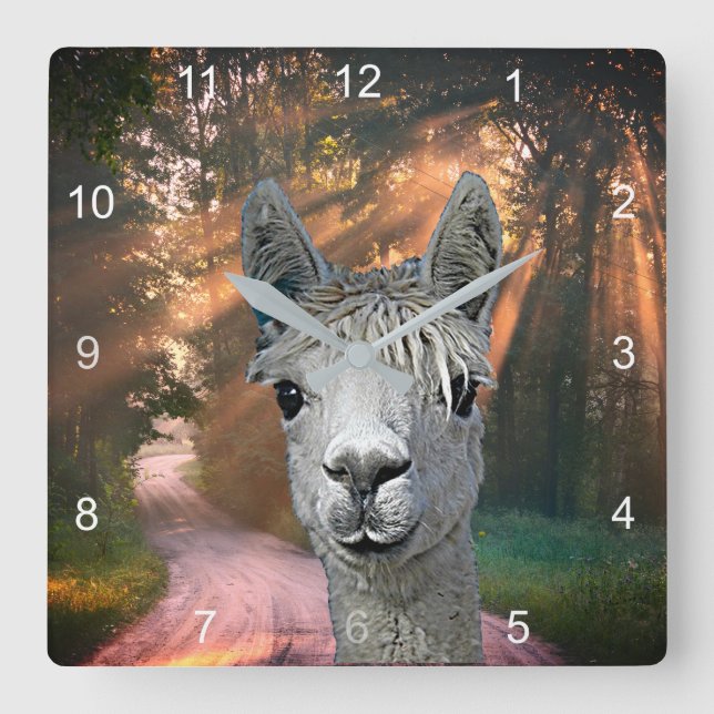 On the road with Pepe the Alpaca Square Wall Clock (Front)