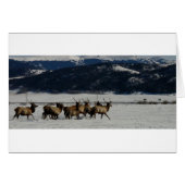 On The Run (Front Horizontal)