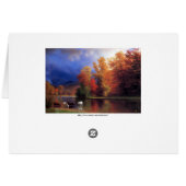 On The Saco (Back Horizontal)