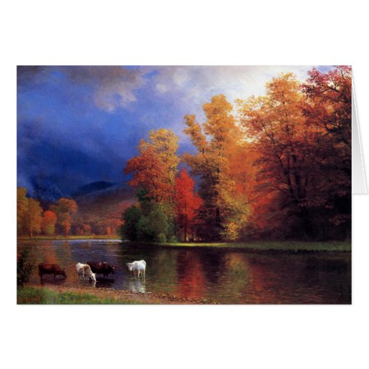 On The Saco Cards (Front Horizontal)