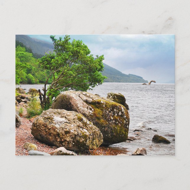 On the shores of Loch Ness with the monster Postcard (Front)