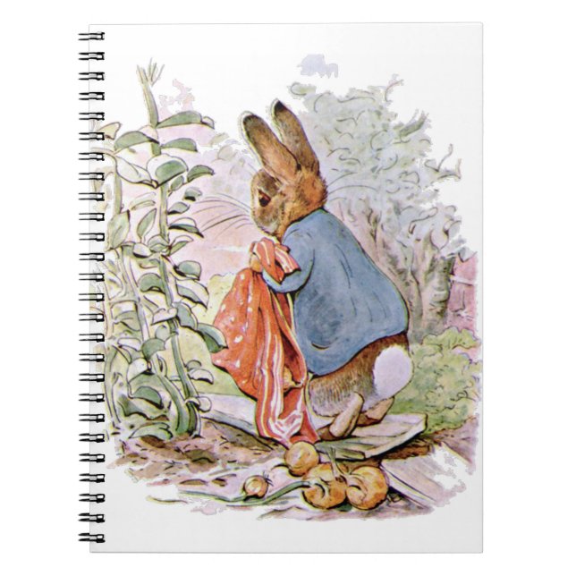 On the Way Home Peter Dropped Most of the Onions Notebook (Front)