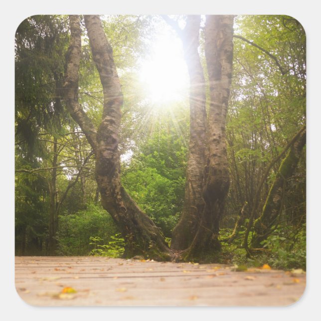 On the way...   square sticker (Front)