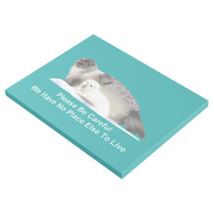On Thin Ice Gallery Wrap