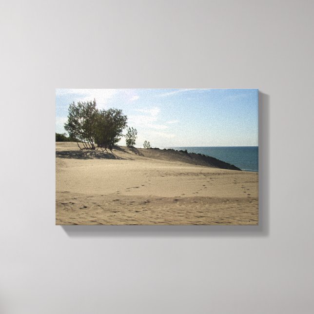 On top of Mt. Baldy, Indiana Dunes National Park Canvas Print (Front)