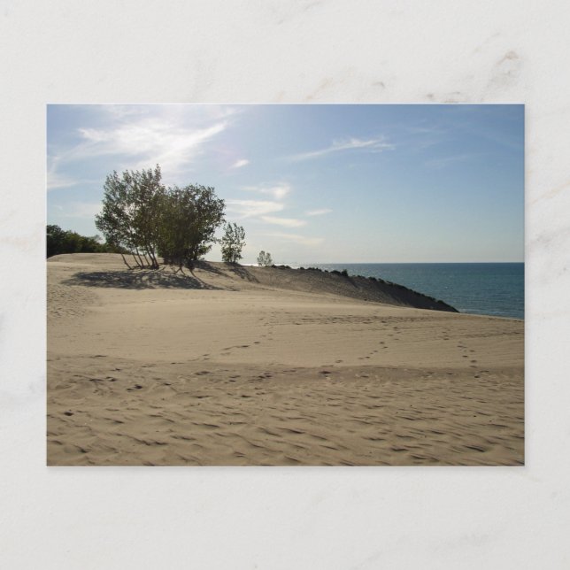 On top of Mt. Baldy, Indiana Dunes National Park Postcard (Front)