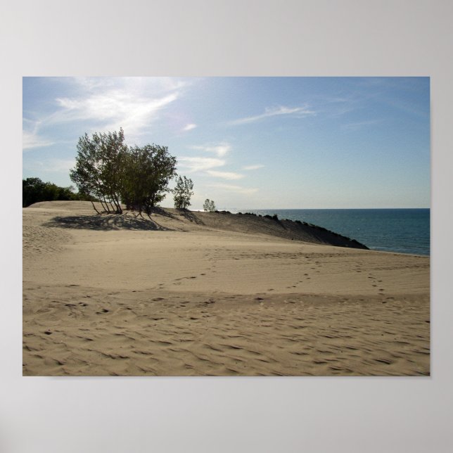 On top of Mt. Baldy, Indiana Dunes National Park Poster (Front)