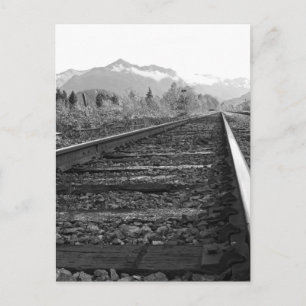On Track - Black and White traintracks photo Postcard