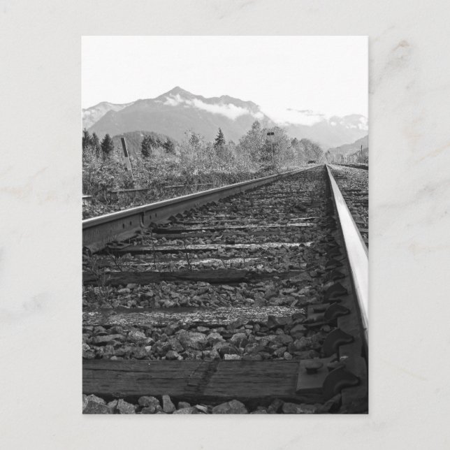 On Track - Black and White traintracks photo Postcard (Front)