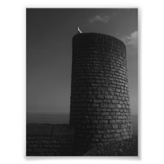 On Watch. Photo Print