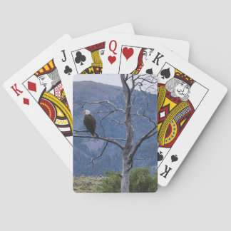 On Watch Playing Cards