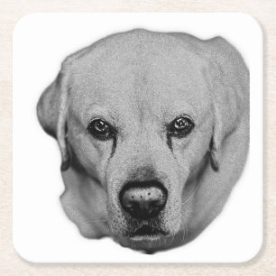 On You, Easy Sip Square Paper Coaster