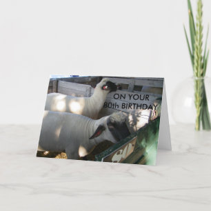 ON YOUR 80th BIRTHDAY Card