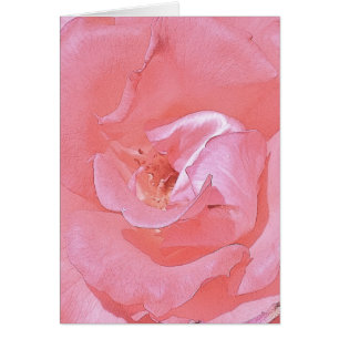 On Your Journey Together - Pink Rose Cards