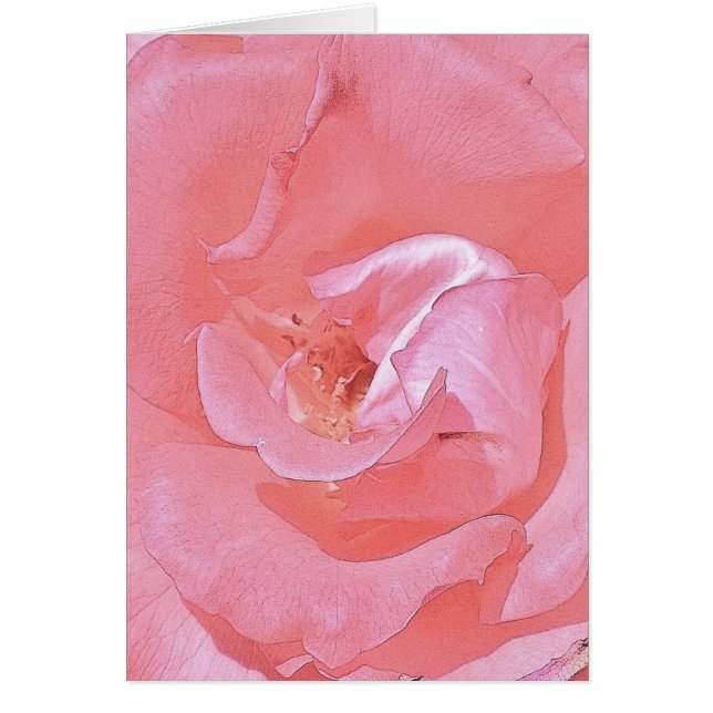 On Your Journey Together - Pink Rose Cards (Front)