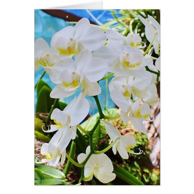 On Your Journey Together Wedding Card (Front)