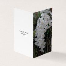 On Your Wedding Day - White Orchids