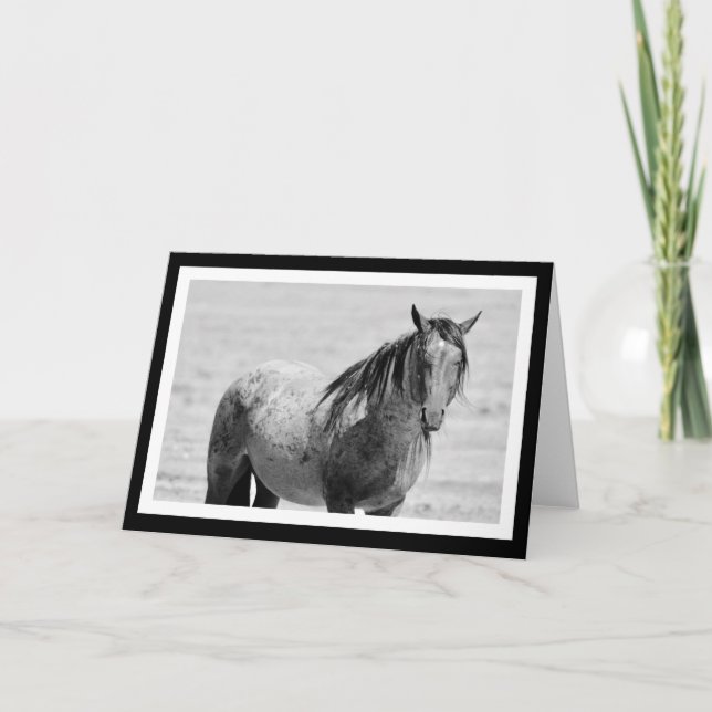 Onaqui Mountain Wild Horse blank note card. 5"x 7" Card (Front)
