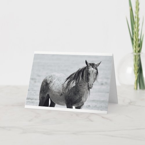 Onaqui Mountain Wild Horse blank note card 5x 7 Card