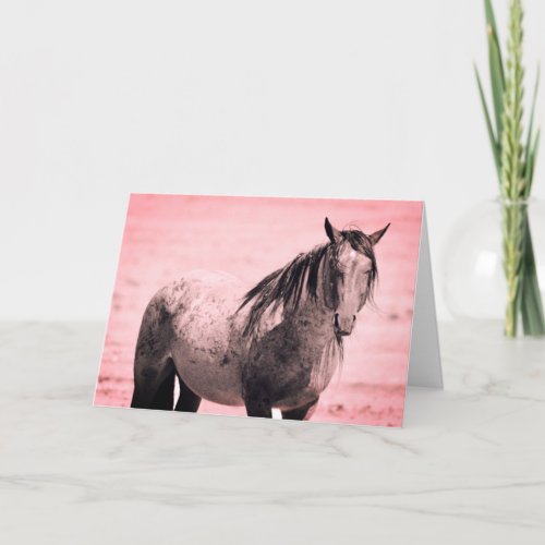 Onaqui Mountain Wild Horse blank note card 5x 7 Card