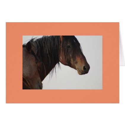 Onaqui Mountain Wild Horse Card