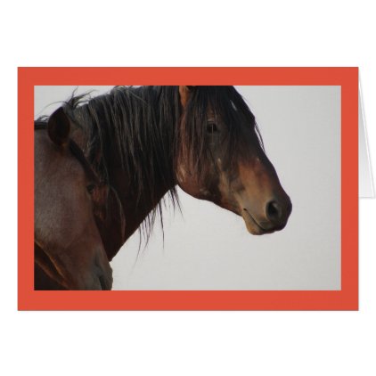 Onaqui Mountain Wild Horse Card