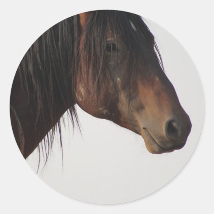 Onaqui Mountain Wild Horse Classic Round Sticker
