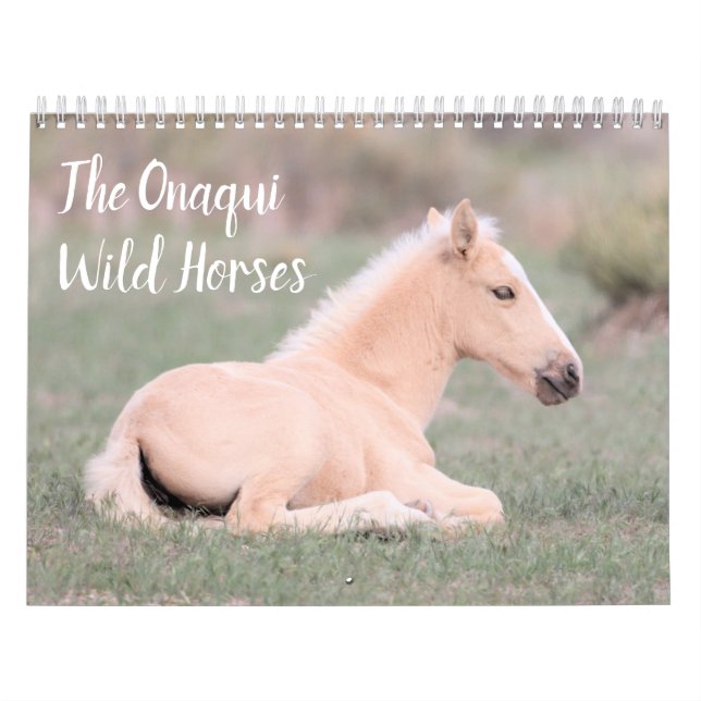Onaqui Wild Horses Calendar (Cover)