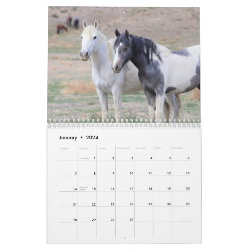 Onaqui Wild Horses Calendar | Zazzle