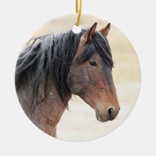 Onaqui Wild Horses Ornament