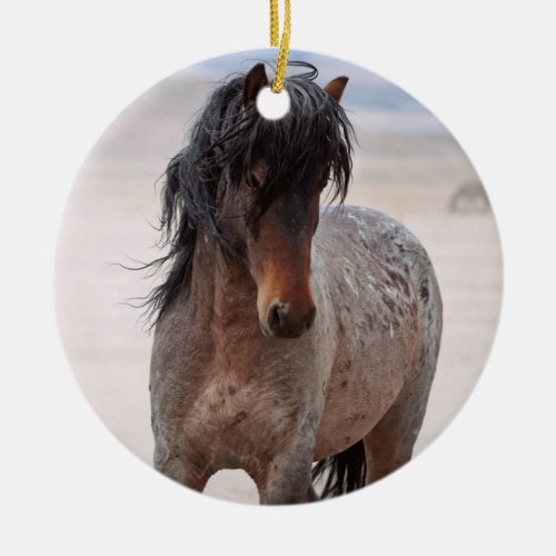 Onaqui Wild Horses Ornament
