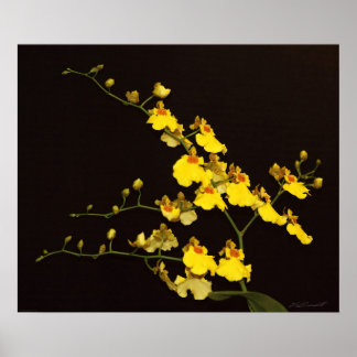 Onc Yellow Orchid Art Print -24x20 -or smaller